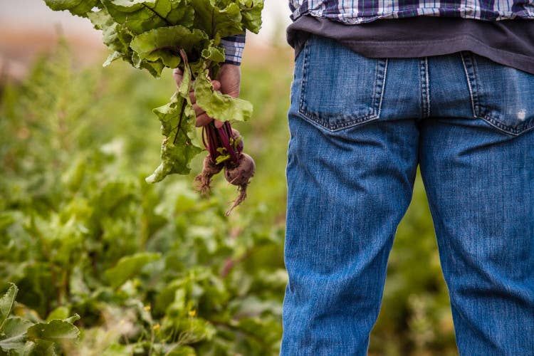 Il Lodigiano, un percorso tra gusto e tradizione da fare... online