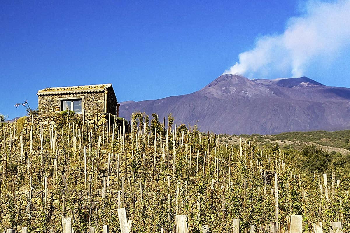 La rivoluzione di Benanti: vini dell'Etna autentici e innovativi 