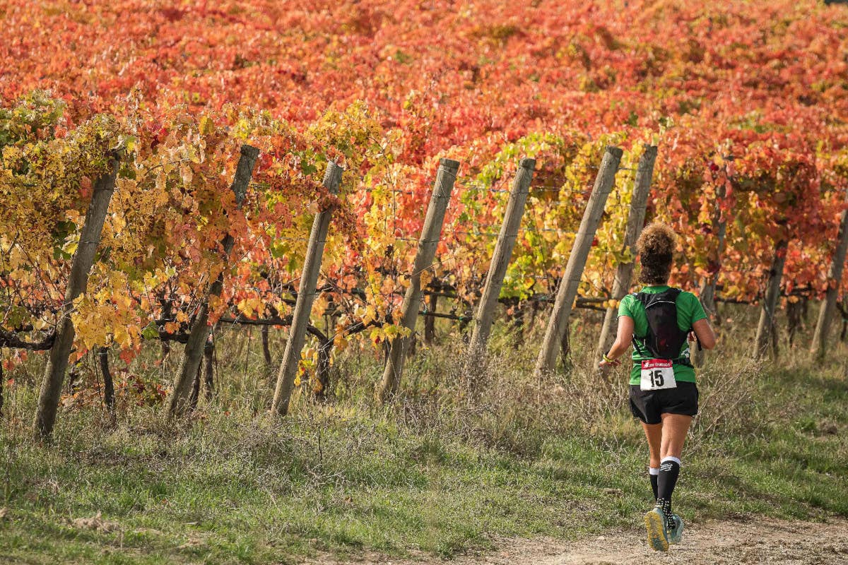 Correre tra i vigneti: un weekend tra sport e gusto nel cuore dell'Umbria
