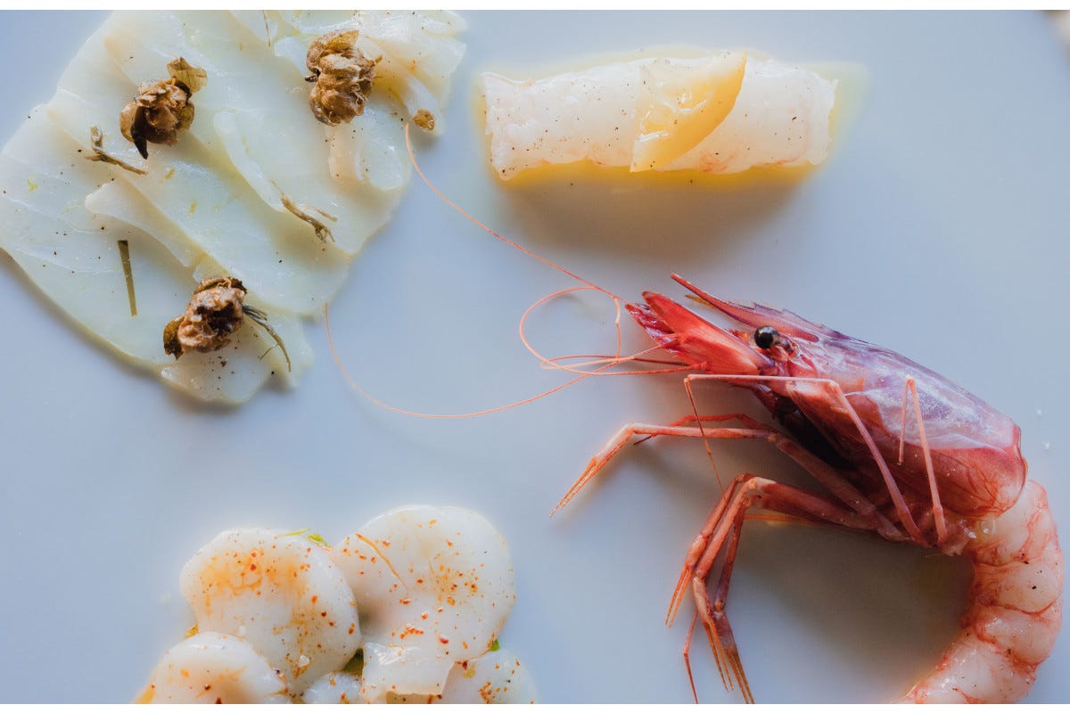 Crudo _D_amare_ pesci e crostacei - selezione di ingredienti La Liguria nel piatto secondo Davide Galbiati nuovo executive chef del DaV Mare