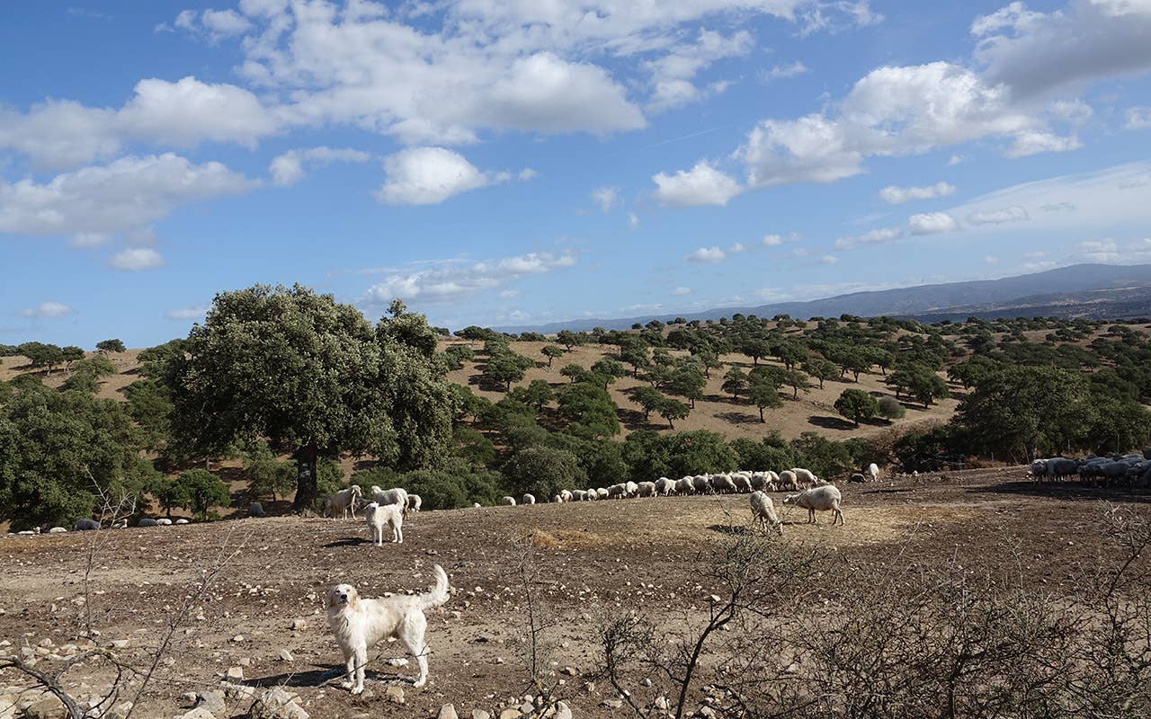 Veduta nella zona di Santo Stefano Oschiri, alla scoperta dell'altra Sardegna e dell'altra Gallura