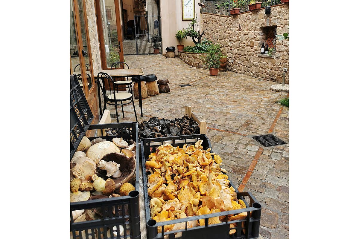 Funghi appena arrivati Nangalarruni a Castelbuono, l’osteria famosa per prodotti e piatti di montagna