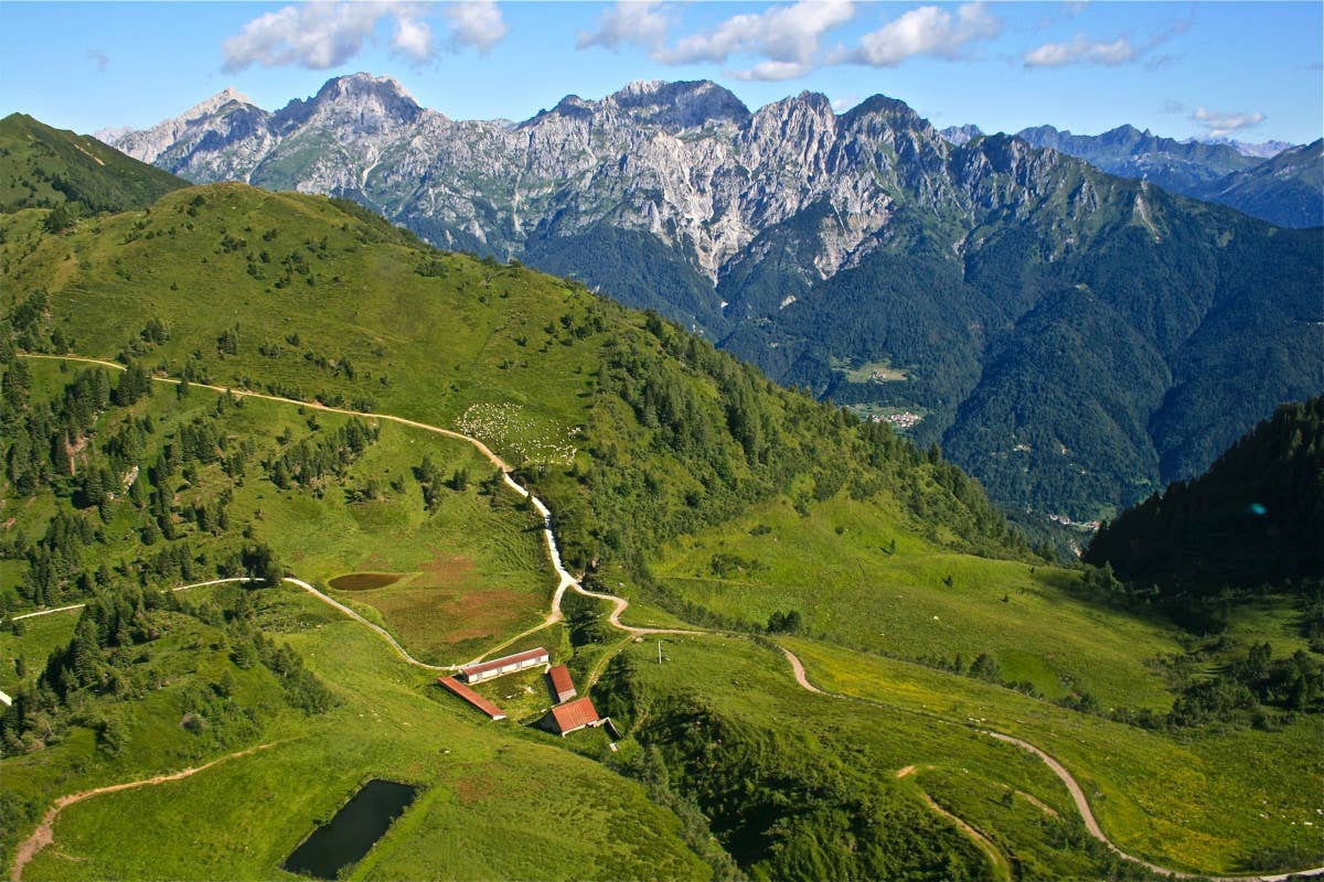 Alpi Carniche: un'estate di emozioni e sicurezza con le escursioni di Visit Zoncolan