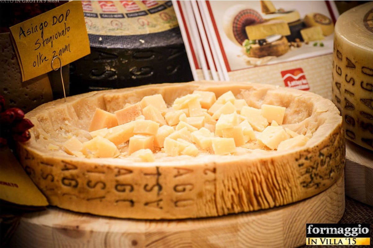 Torna Formaggio in Villa: a Cittadella il regno dei cheese lover