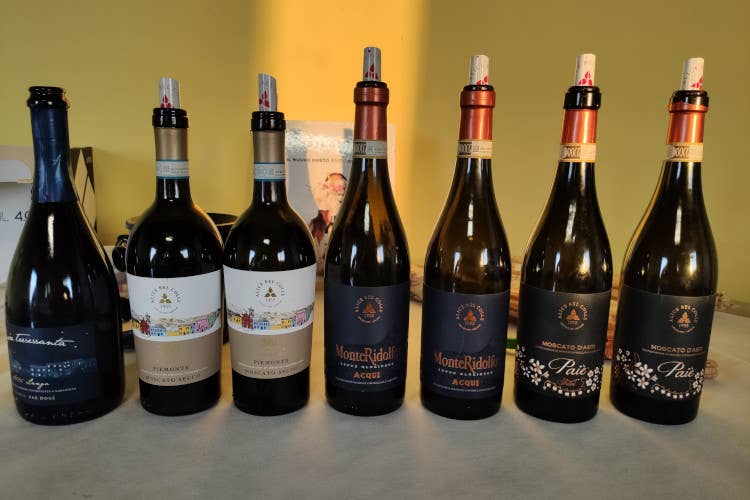 Cantina Àlice Bel Colle, il sapore autentico dell’Alto Monferrato Acquese