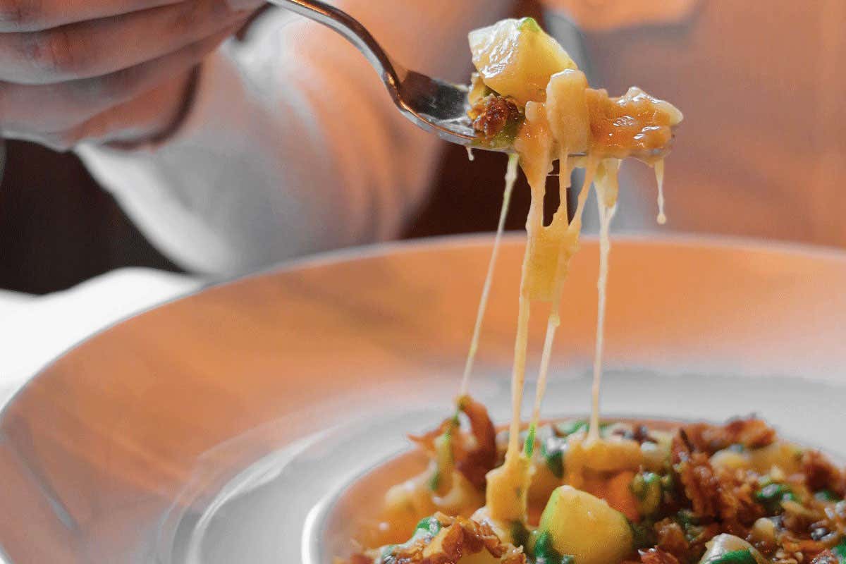 Dalla terra alla tavola: Agristor - Le Due Torri promuove l'ecologia e la gastronomia locale