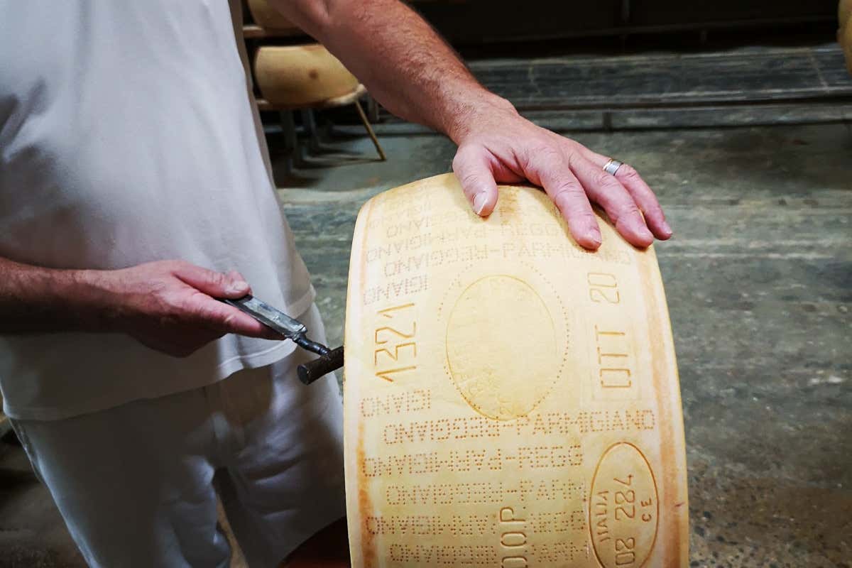 Il Parmigiano Reggiano del Caseificio Nuova Martignana Un viaggio a Modena a caccia di sapori genuini