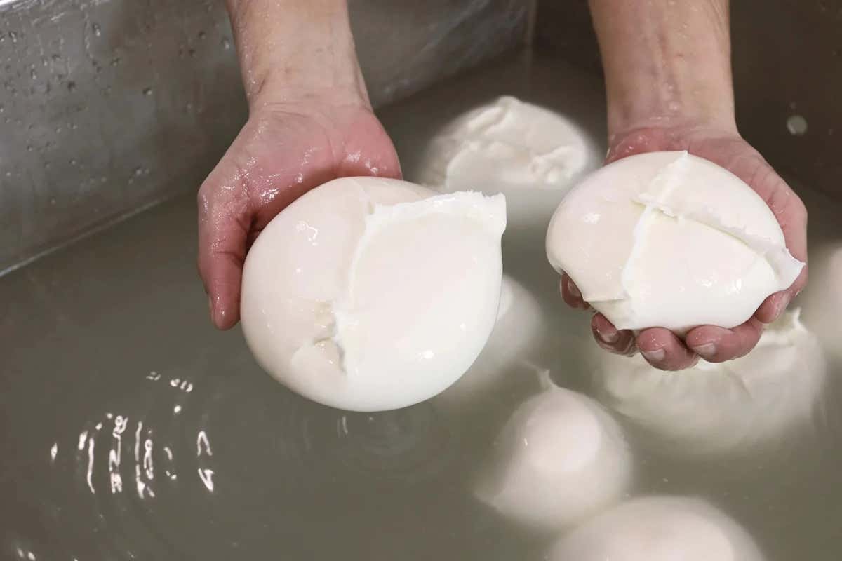 Vere massaie cilentane nella cucina de “La Dispensa San Salvatore” a Paestum Vere massaie cilentane nella cucina de “La Dispensa San Salvatore” a Paestum