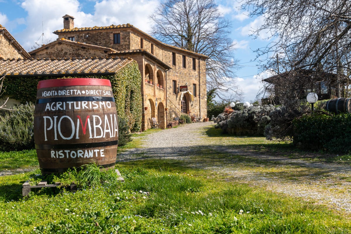 Non solo vino: Piombaia di Montalcino è anche agriturismo e ristorante