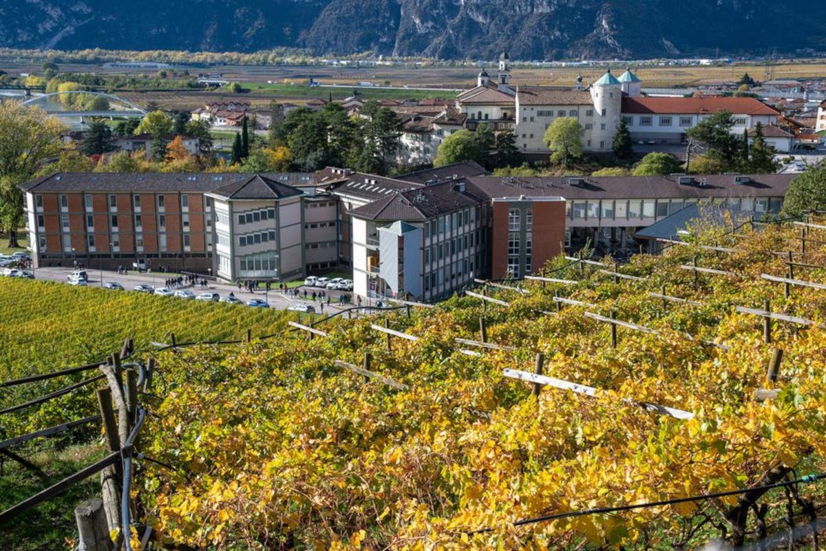 A Trento una mostra per i 150 anni della Fondazione Edmund Mach