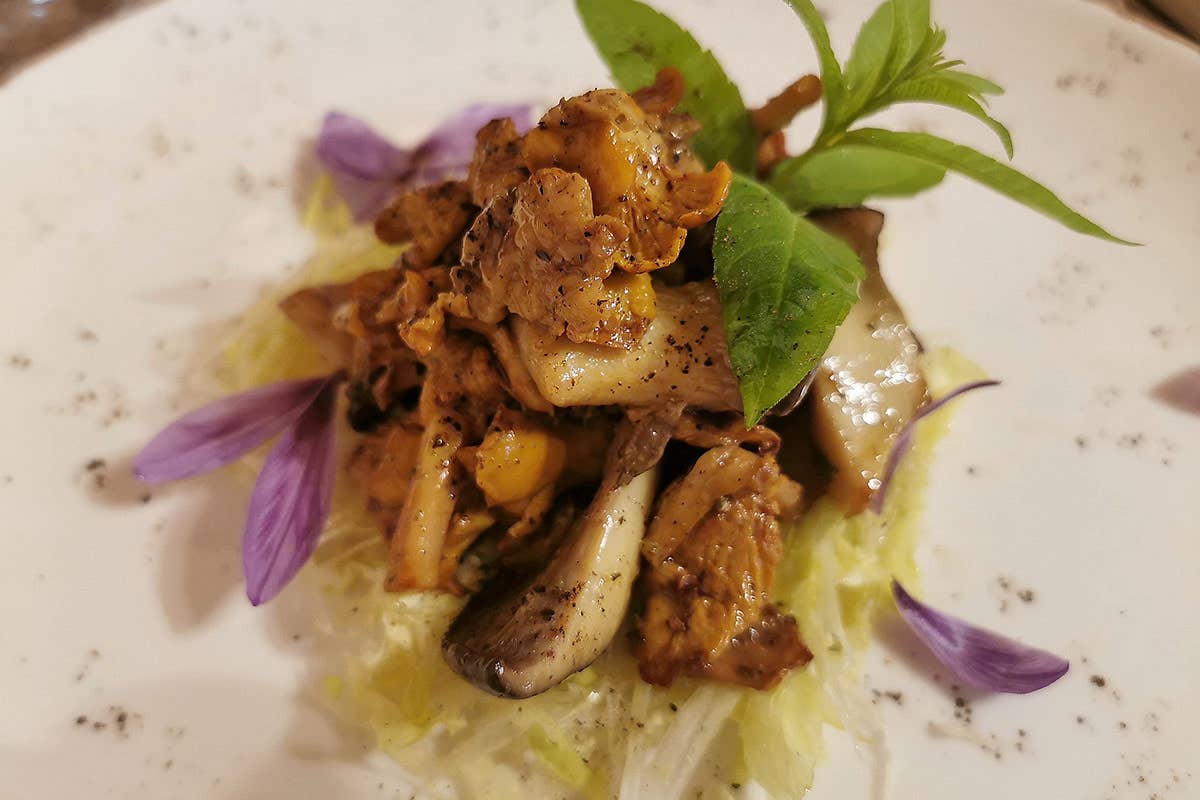 Misto di funghi scottati Nangalarruni a Castelbuono, l’osteria famosa per prodotti e piatti di montagna