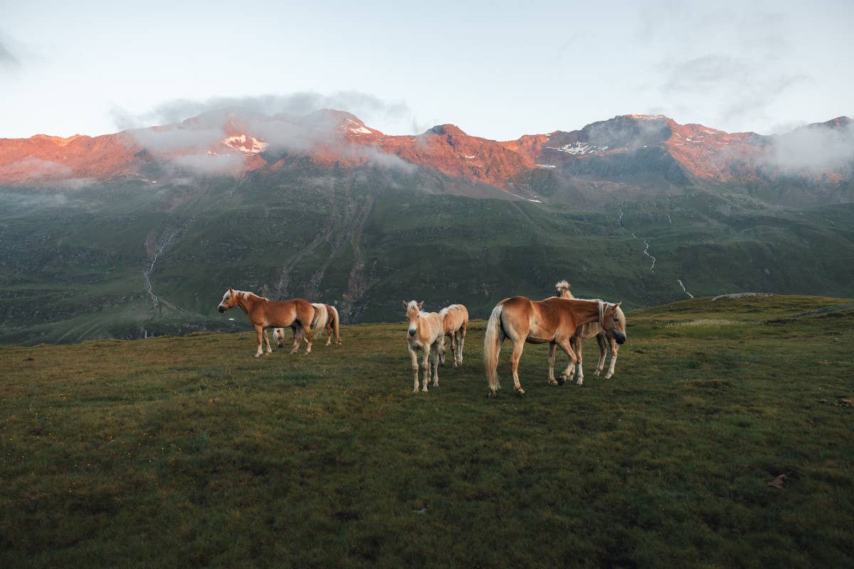 Vacanze in montagna: scopriamo Gurgl in Tirolo, tra sapori e tradizioni