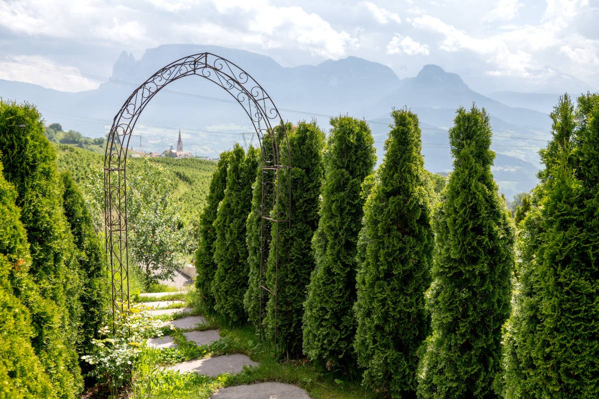 Mitterstiller Dolomites Relais: la rinascita di una casa dimenticata sulle Dolomiti