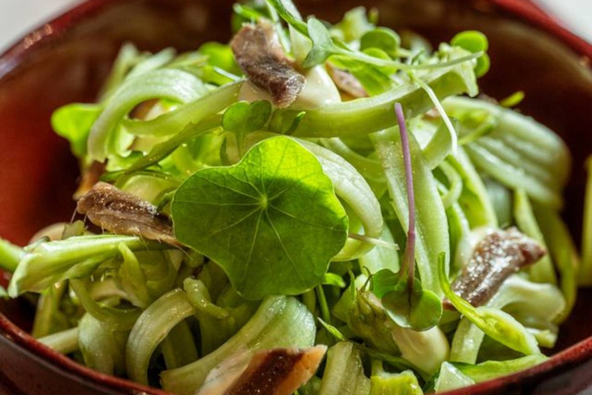 Casa Vittoria, a Napoli per un giro d'Italia della cucina da non perdere