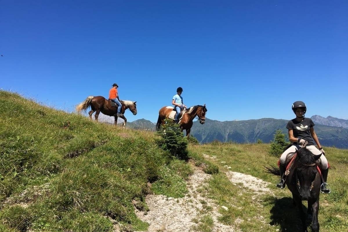 Alpi Carniche: un'estate di emozioni e sicurezza con le escursioni di Visit Zoncolan