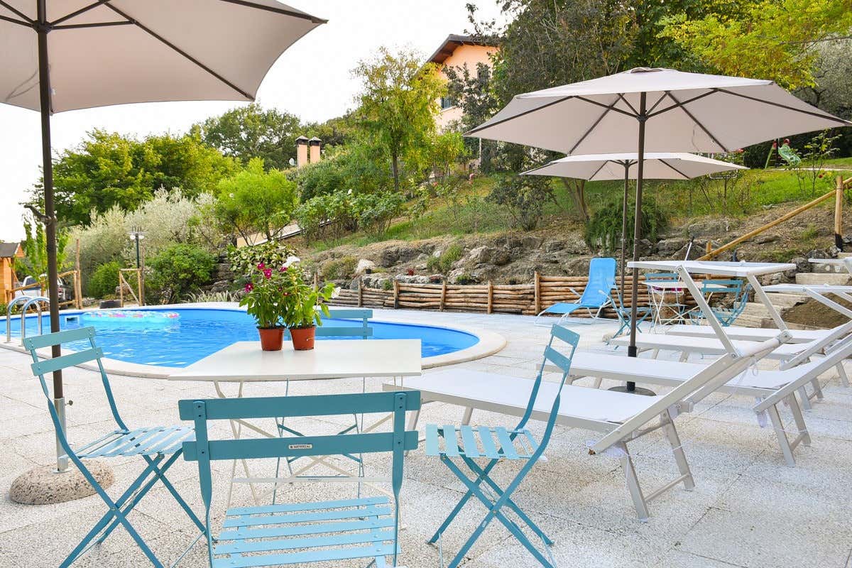 Un agriturismo che sa di olio e di storia: tappa a L'Arte del Verde di Amelia