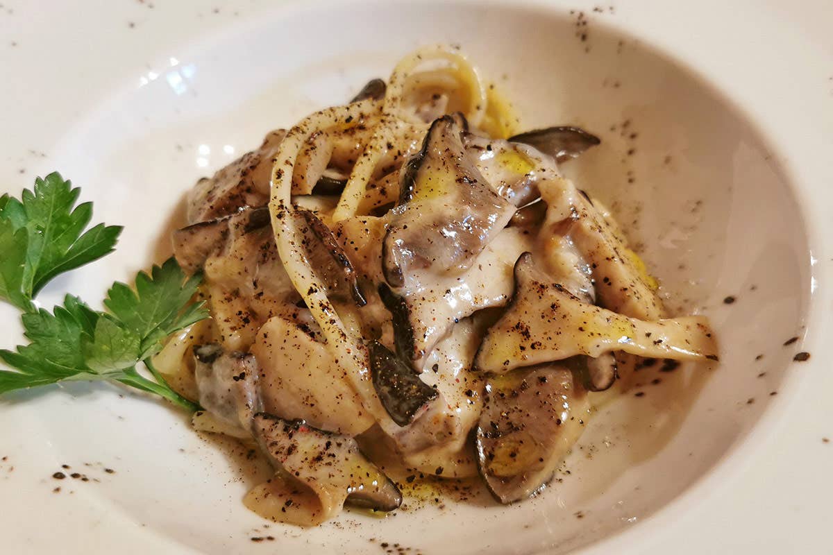 Spaghettoni cacio e pepe con funghi di bosco Nangalarruni a Castelbuono, l’osteria famosa per prodotti e piatti di montagna