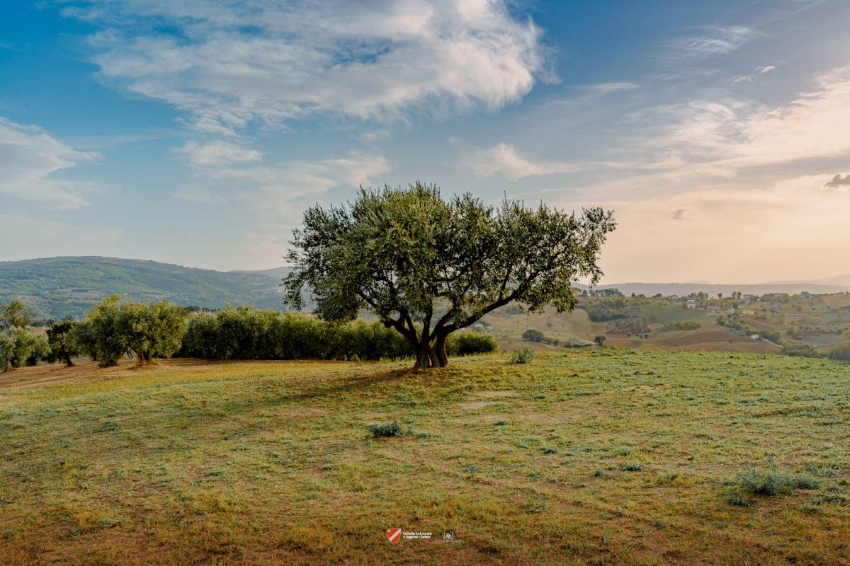 Il Molise esiste eccome! E si vive e mangia davvero bene