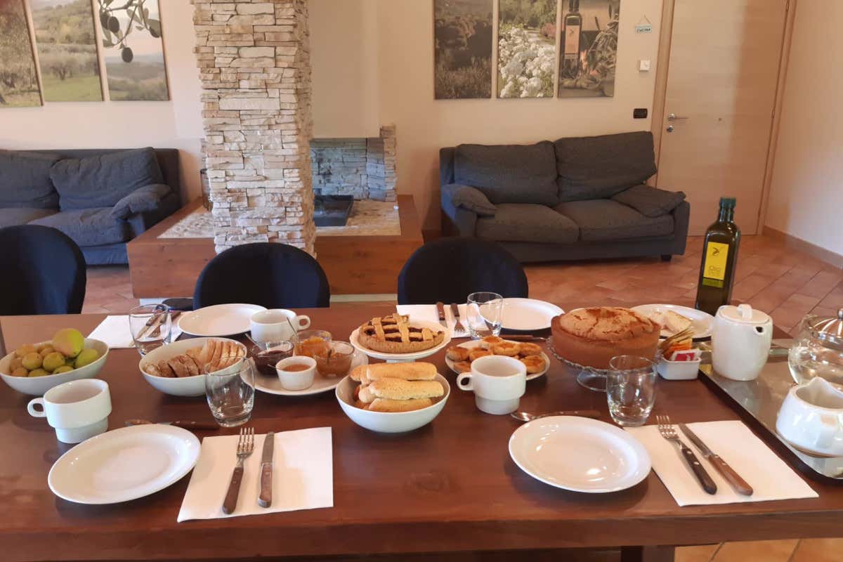 Un agriturismo che sa di olio e di storia: tappa a L'Arte del Verde di Amelia