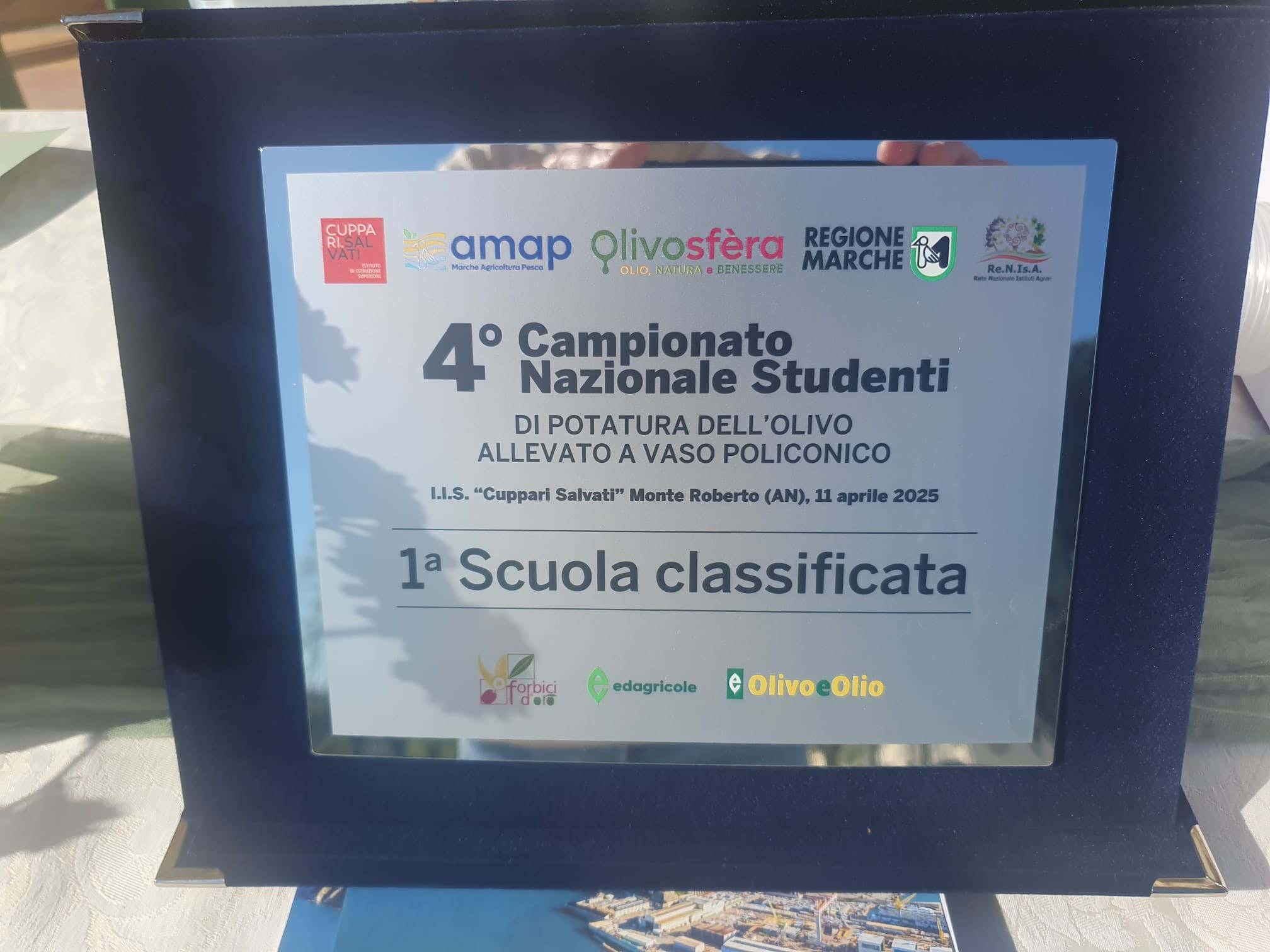 Campionato italiano di potatura d'olivo a Villa Salvati. Nove istituti agrari a contendersi il titolo Campionato italiano di potatura d'olivo a Villa Salvati. Nove istituti agrari a contendersi il titolo