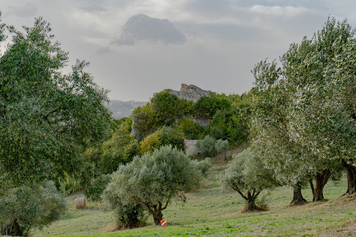 Il Molise esiste eccome! E si vive e mangia davvero bene