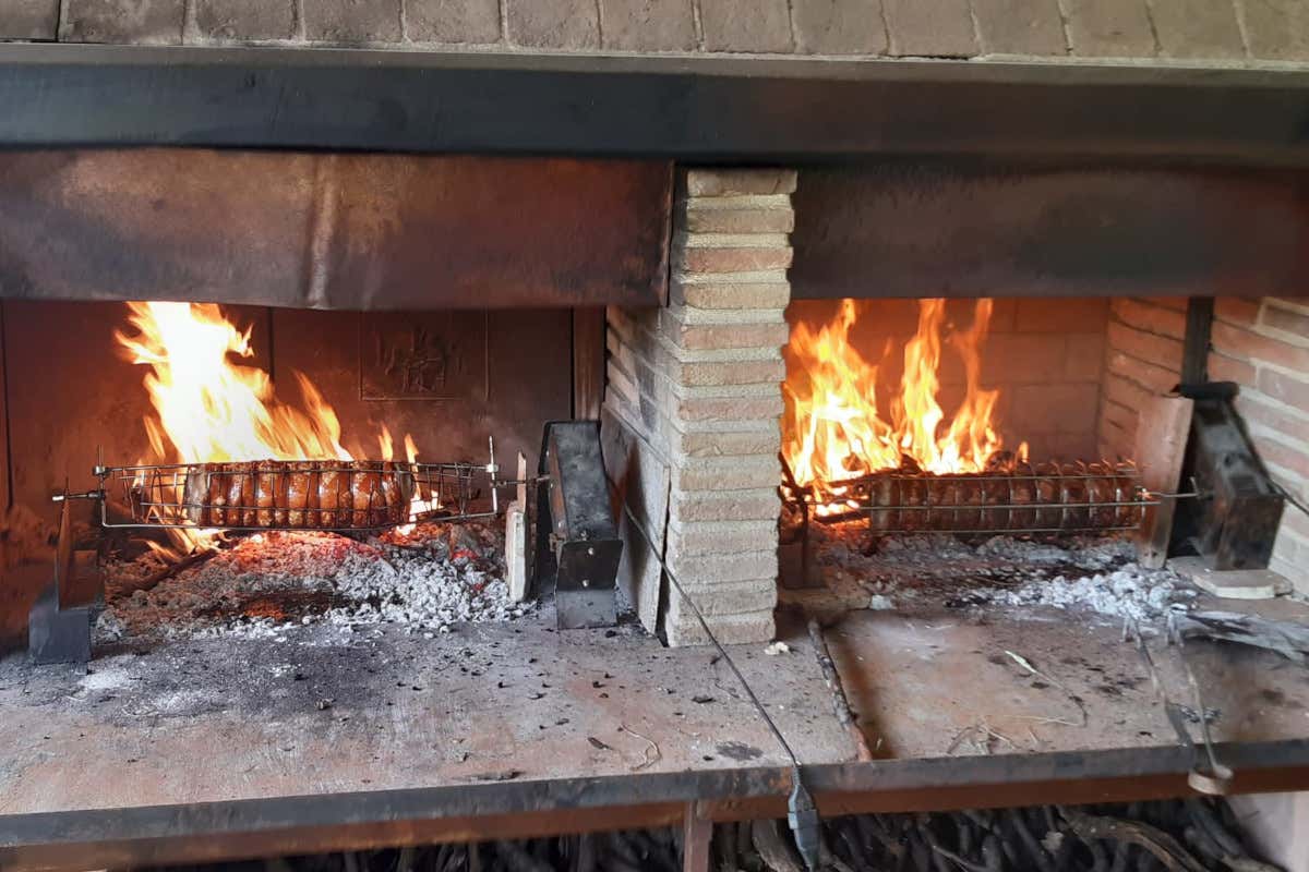 Un agriturismo che sa di olio e di storia: tappa a L'Arte del Verde di Amelia