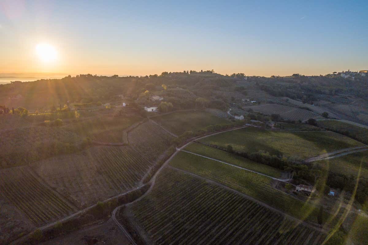Talosa, ecco come cambia il Vino Nobile di Montepulciano tra sabbia e argilla Talosa, ecco come cambia il Vino Nobile di Montepulciano tra sabbia e argilla