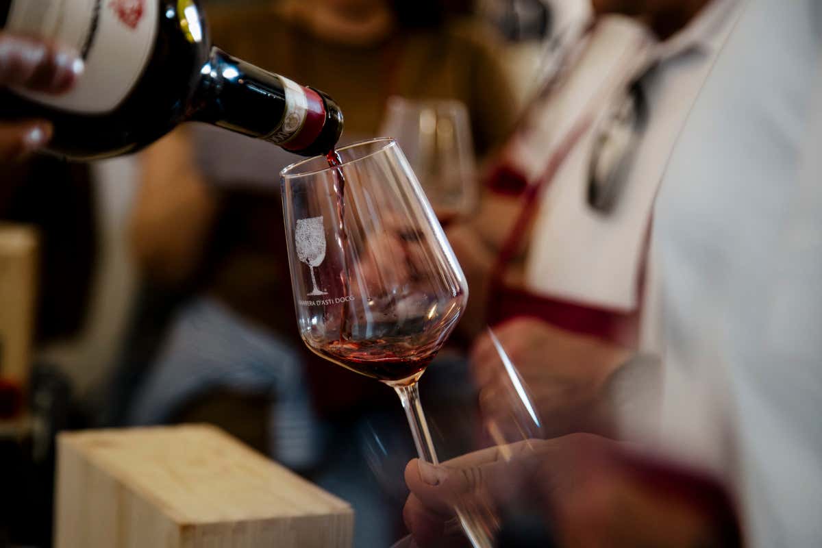 Barbera e Nebbiolo, vini in evoluzione nel Monferrato (fra freschezza e finezza)