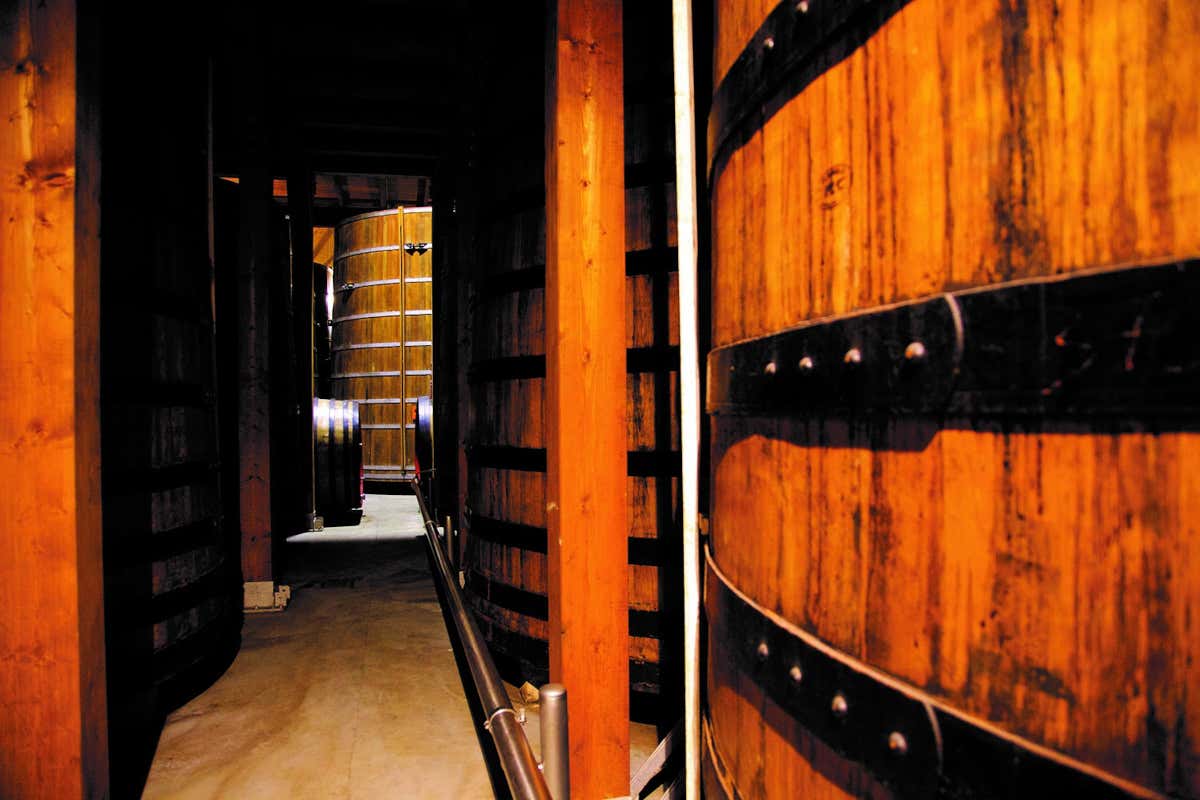 Aceto Balsamico di Modena IGP, il nuovo disciplinare: introdotta la “Riserva”