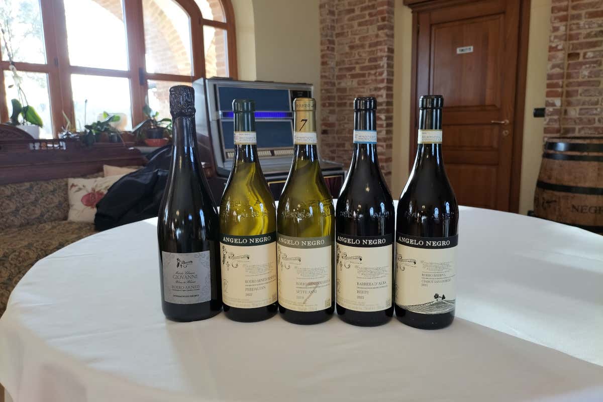 Cantine del Roero, quando il vino dialoga con il mondo del tartufo