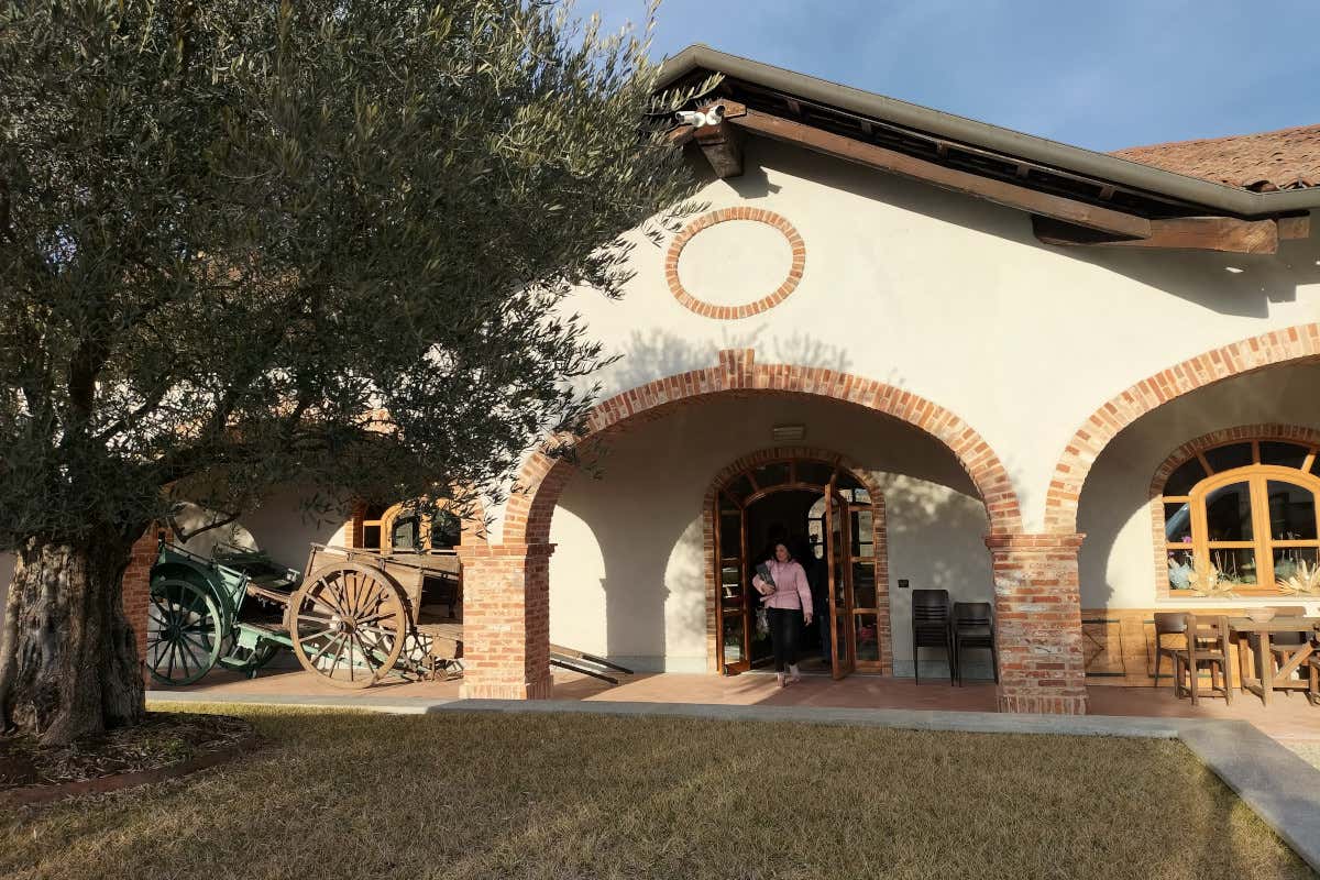Cantine del Roero, quando il vino dialoga con il mondo del tartufo