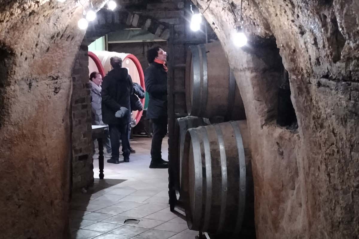 Cantine del Roero, quando il vino dialoga con il mondo del tartufo