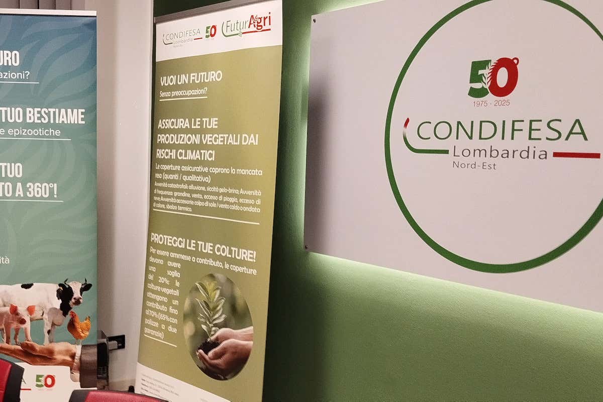 Siccità, alluvioni e caldo record: risarcimenti oltre 6 milioni per il meteo pazzo Siccità, alluvioni e caldo record: risarcimenti oltre 6 milioni per il meteo pazzo