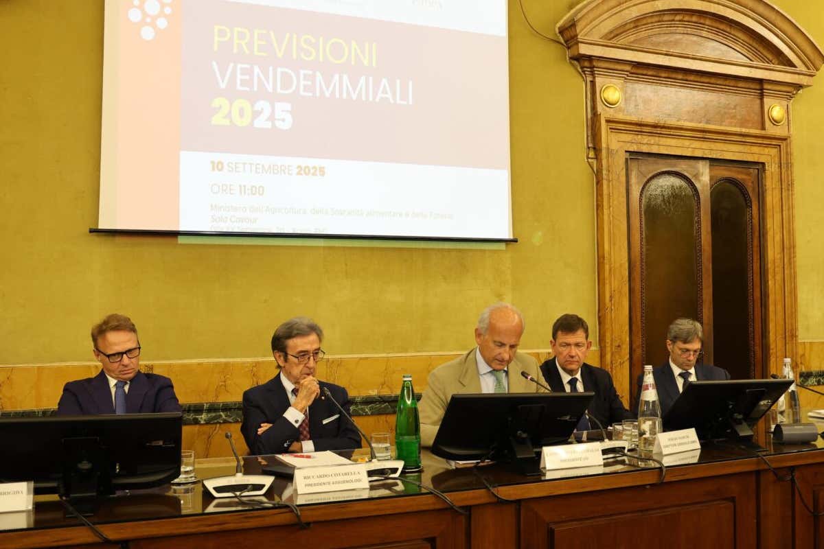 Produzione di vino in Italia 2025: +8% rispetto al 2024, Sud in forte ripresa Produzione di vino in Italia 2025: +8% rispetto al 2024, Sud in forte ripresa