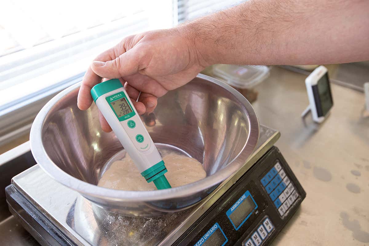 Lievito di birra e madre: le differenze e la gestione dei tempi di maturazione in pizzeria