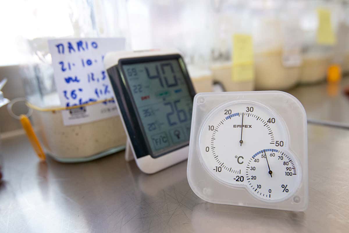 Lievito di birra e madre: le differenze e la gestione dei tempi di maturazione in pizzeria