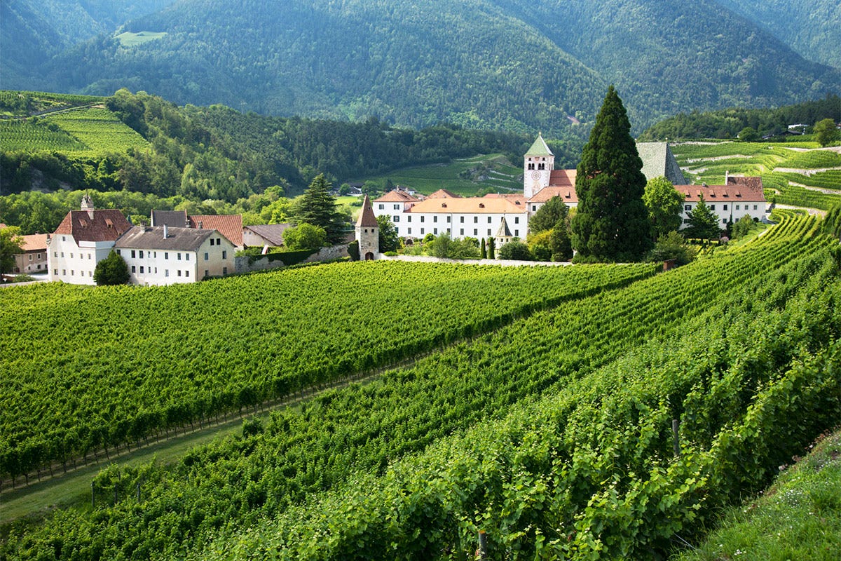 Abbazia di Novacella presenta il vino parzialmente dealcolato Minus 2023  