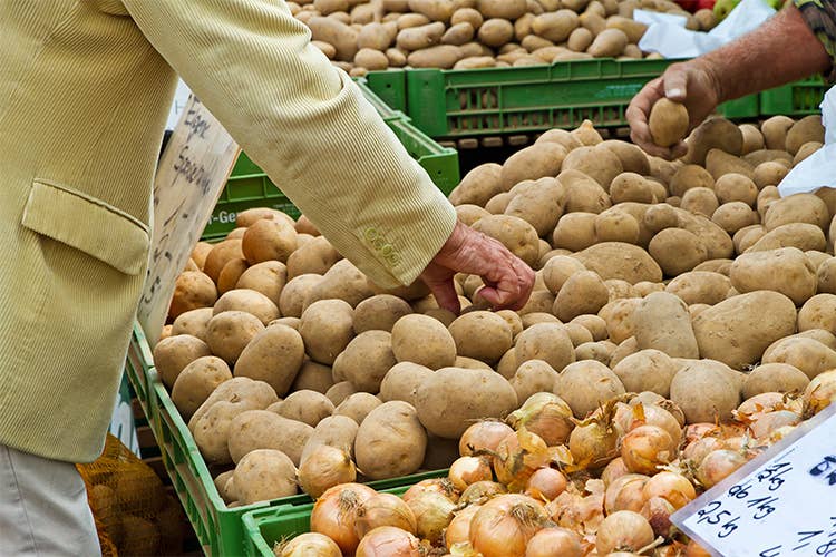 Agricoltura, un settore da oltre 57 miliardi ma i redditi dei produttori calano dell'8%