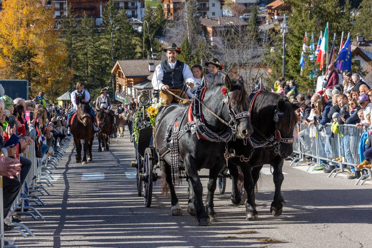 Autunno in Alta Badia tra cavalli di razza, tradizioni e sapori ladini