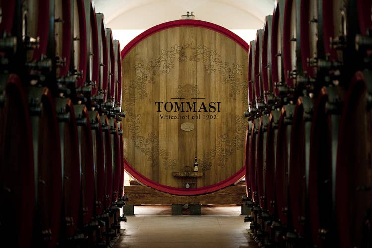 (Amarone, Bruenllo e Aglianico Trilogia di emozioni firmate Tommasi)