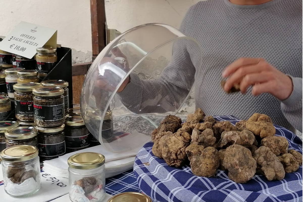 Il grande tour del tartufo: tappa a Murisengo e ad Apecchio