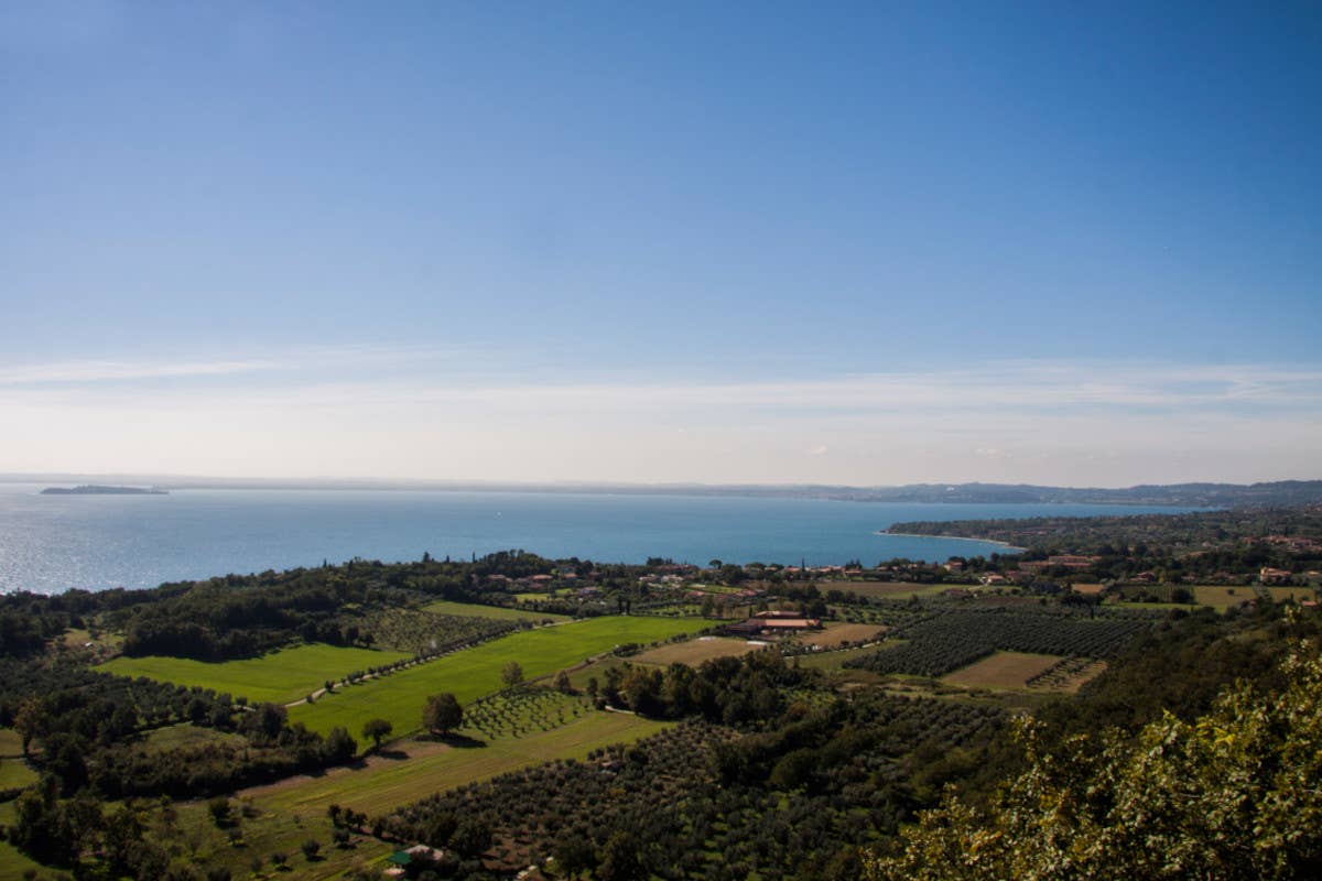 Domenica in cantina: scopri i vini della Valtènesi a Profumo di mosto