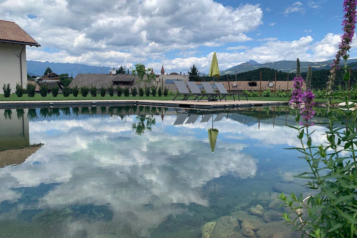 Un tuffo tra le montagne: i masi con piscina di Gallo Rosso 