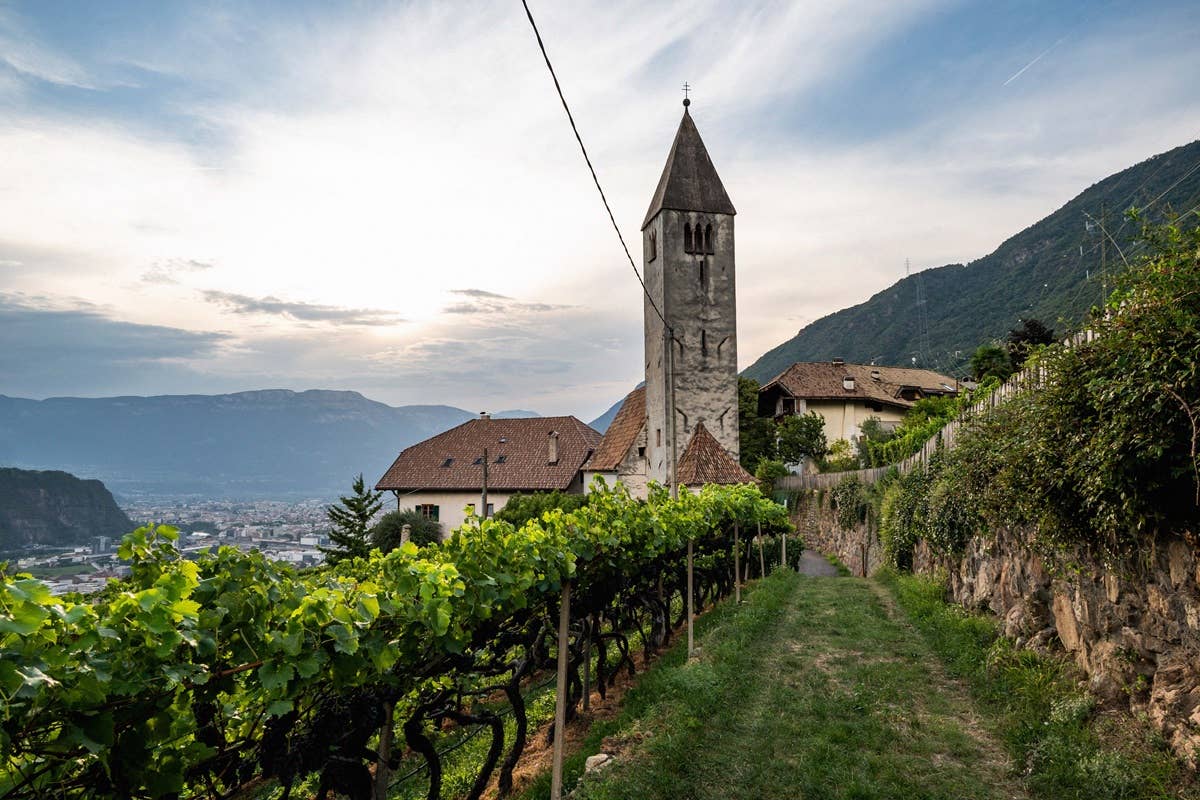 Sentiero del vino e relax: autunno magico al Parkhotel Holzner