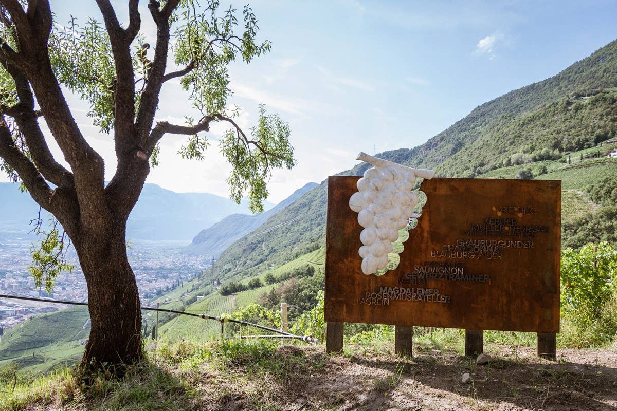 Sentiero del vino e relax: autunno magico al Parkhotel Holzner