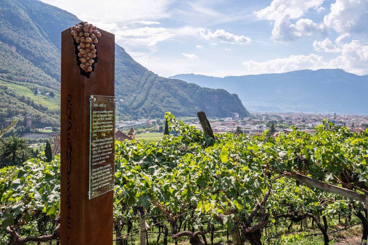 Sentiero del vino e relax: autunno magico al Parkhotel Holzner