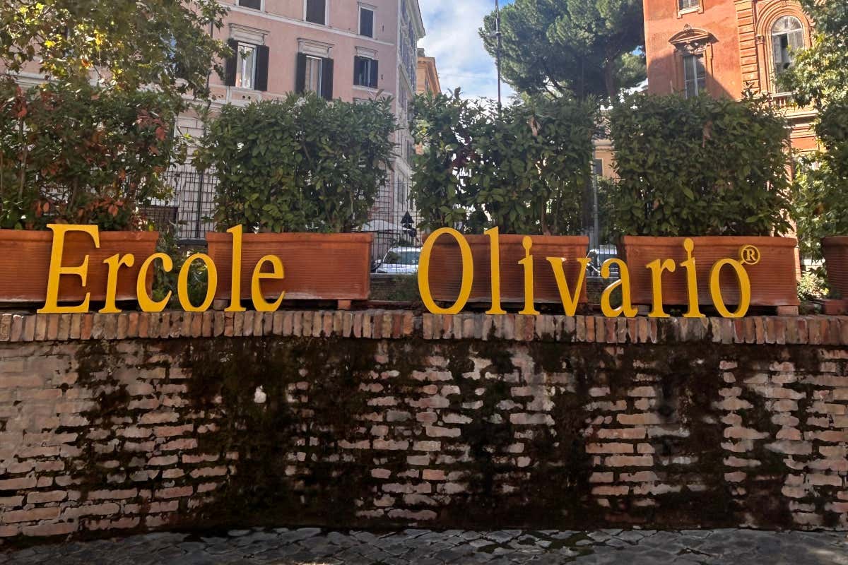 Oleoturismo e cucina: l’olio evo protagonista all’Ercole Olivario 2026
