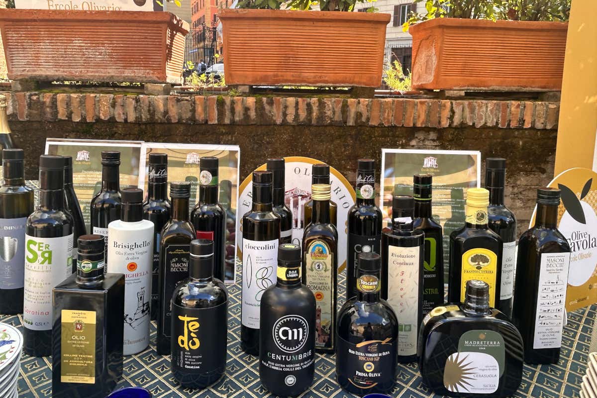 Oleoturismo e cucina: l’olio evo protagonista all’Ercole Olivario 2026