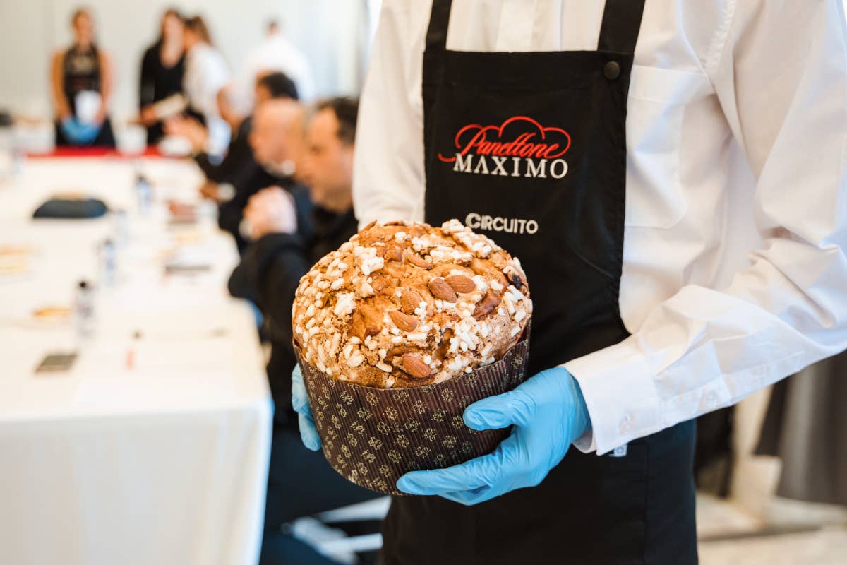 Panettone Maximo: 45 pasticcerie pronte a sfidarsi per il miglior dolce artigianale