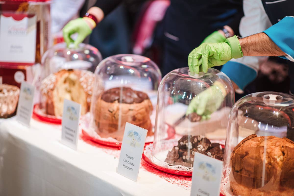 Panettone Maximo: 45 pasticcerie pronte a sfidarsi per il miglior dolce artigianale